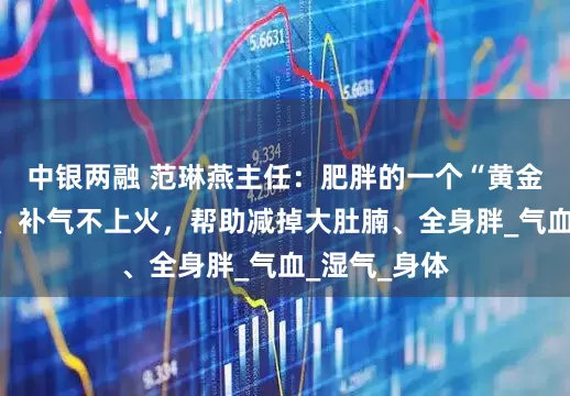 中银两融 范琳燕主任：肥胖的一个“黄金方”，利湿、补气不上火，帮助减掉大肚腩、全身胖_气血_湿气_身体